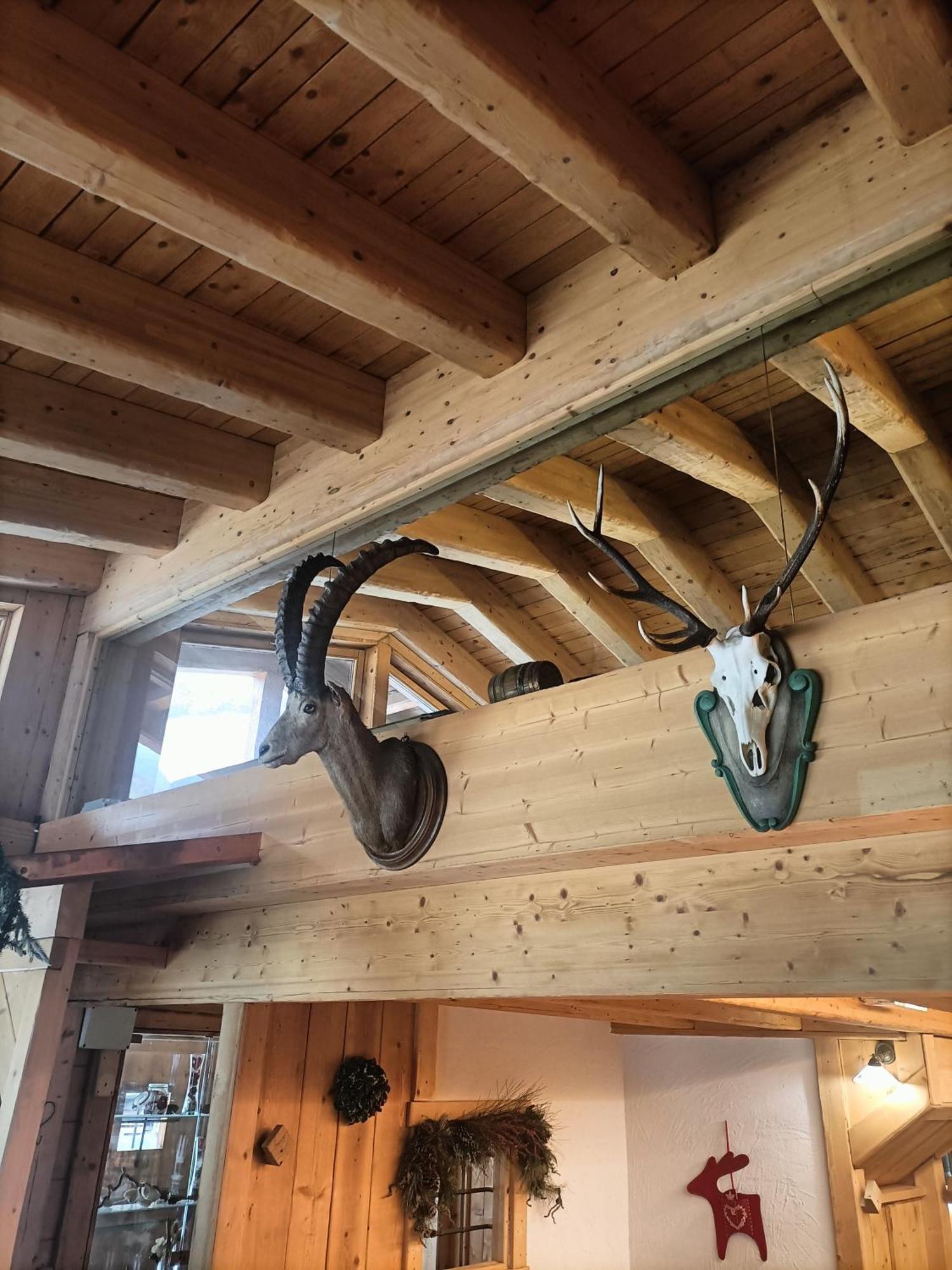 Chalet 1400 Nuova Gestione Limone Piemonte Bagian luar foto